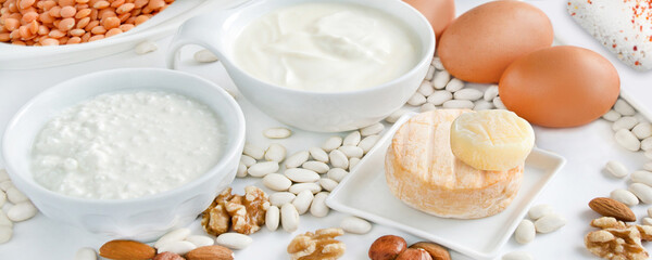 Fototapeta na wymiar Proteinreiche Lebensmittel Milchprodukte Nüsse Eier Bohnen