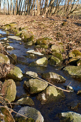 Der Frühling naht und die Natur erwacht