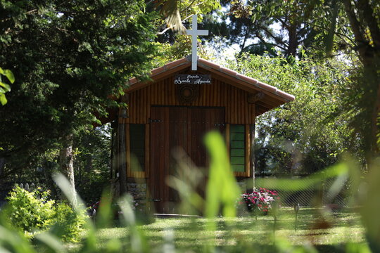 Cavalo Quarto de Milha