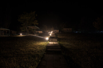 Trees and street lamps on a quiet foggy night. Foggy misty evening lamps in empty road.