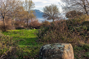 Laderas de la Sierra de Gredos desde los castaños de Rozas de Puerto Real. Madrid. España. Europa.