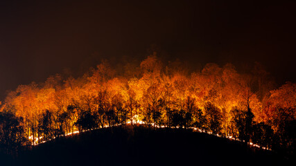 A forest fire on the mountain at night Causing toxic dust