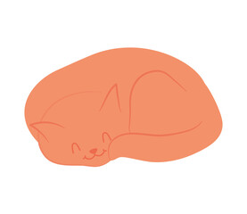 sleeping orange cat