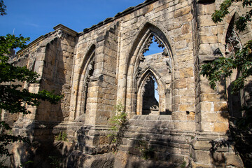 Kloster- und Burg-Ruine Oybin
