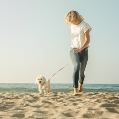Cheerful young woman with her maltese dog walking on the beach