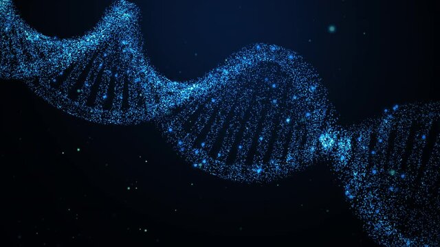 Abstract animation. Animated DNA helix structure from glowing particles on a dark background. Macro animation. 4K