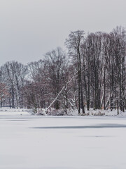 Winter park landscape