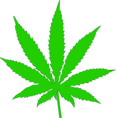 Marijuana leaf.