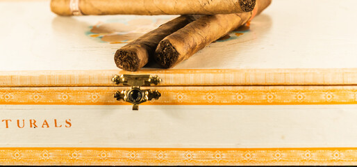 Cuban cigars