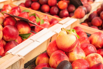 Apricot fruit on street foot market in Provence France