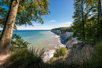 Kreidefelsen an der Küste des Insel Rügen im Sommer vor blauem Himmel in Mecklenburg-Vorpommern © Matthias Pens