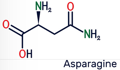 Asparagine, L-asparagine, Asn molecule. It is non-essential amino acid, used in the biosynthesis of proteins.  Skeletal chemical formula