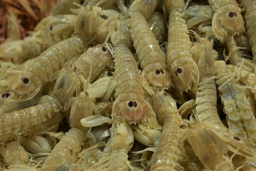 A rich catch of cream colored squilla mantis shrimps with the typical eye-like pattern on their tails at Mercado de Abastos market in Jerez de la Frontera, Spain