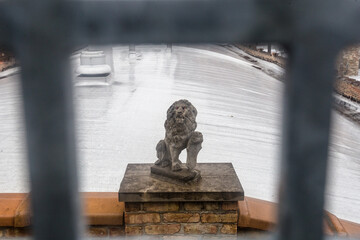 Statue of roaring lion on rooftop on rainy day in urban Chicago