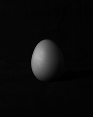 Egg on Black Background.