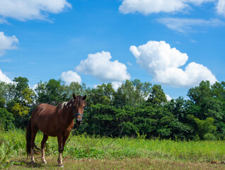 clouds sky landscape nature background.