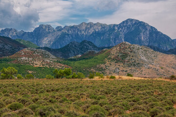 Summer landscape - valley and road in Albanian mountains, green trees and gray clouds on the sky
