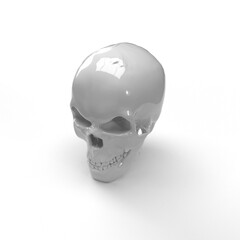 human skull on white background