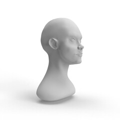 male mannequin head on white background