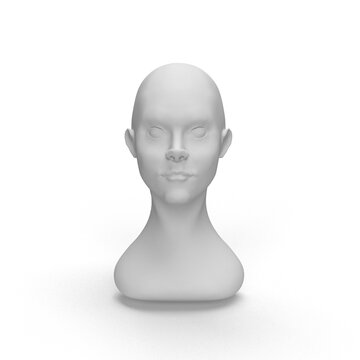 male mannequin head on white background