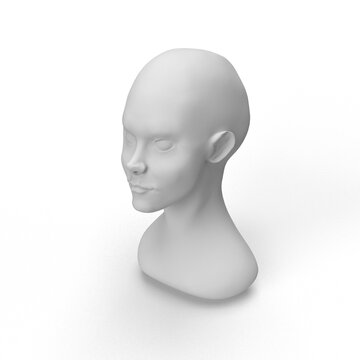 male mannequin head on white background