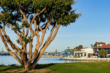 A Glimpse of Seaport Village