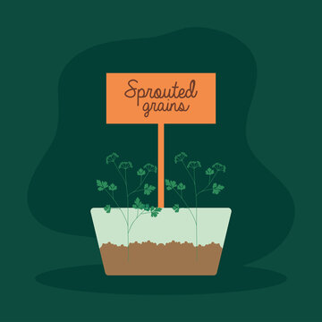 sproted grains plant