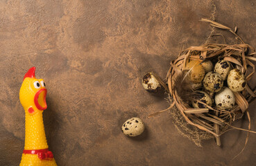 Yellow plastic chicken with quail eggs on a brown background
