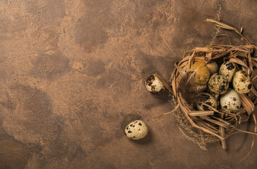 quail eggs in a nest and laid out around it border ,place for text on brown rustic background top view close up