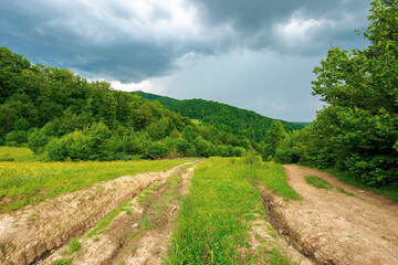 Fototapeta na wymiar dirt road through forested countryside. beautiful summer rural landscape in mountains. adventure in nature scenery before the storm