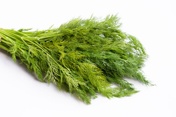 Fresh green dill on white.