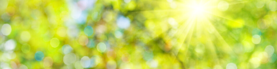 Abstract natural image, sun rays, green blurred background. Horizontal image bright sun on blurred...