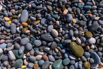 Wet colored sea stones in an even layer strew the sea shore (Natural background)