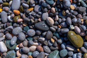 Wet sea pebbles in different colors and sizes create a natural texture
