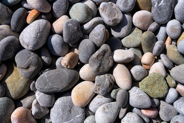 Multicolored sea pebbles evenly cover the beach surface (Natural texture)