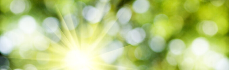 Obraz premium Abstract natural image, sun rays, green blurred background. Horizontal image bright sun on blurred natural background.