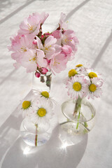 Japanese cherry and daisies in a small round transparent vase