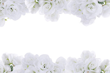 trendy white rose spring flower border with room for text