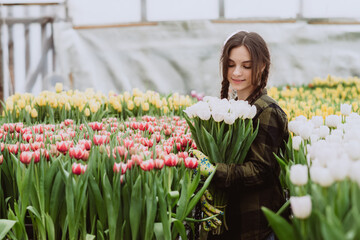 Young woman gardener holds a bouquet of tulips grown in a greenhouse. Spring flowers and...