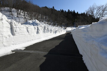 まっすぐのびる雪に囲まれた道