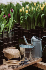 Gardening tools, watering can and straw hat on soil background. Spring garden works concept. Soft selective focus, defocus.