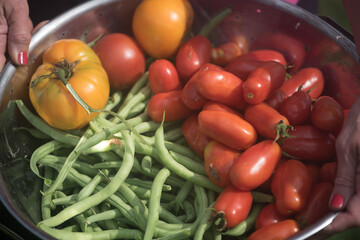 vegatables harvest