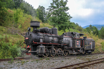 Fototapeta na wymiar Old and rust steam abandoned train