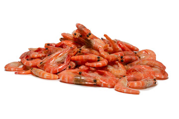 Shrimps isolated on a white background.