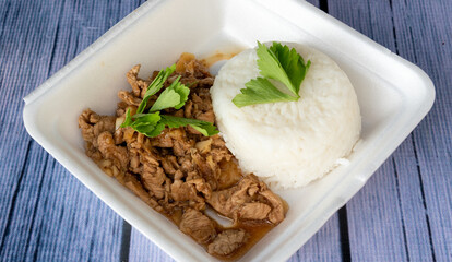 Thai Food Mixed Dishes Set 233009