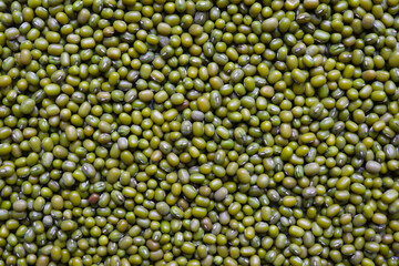 Mung bean background. Green bean mash texture. Legumes.