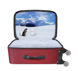 A black rat sculpts a snowman against the background of mountains in the suitcase. White background. Isolated.