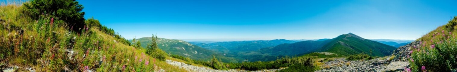 Fototapeta premium beautiful panorama with alpine pine and mountains under blue sky