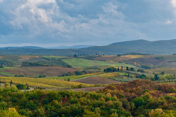 Chianti vineyards in autumn