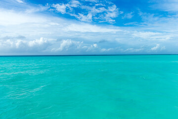 Fototapeta na wymiar tropical sea under the blue sky. Sea landscape.